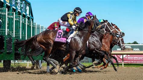 Expert Rebel Stakes Horse Racing Picks for Saturday 2/24/24.
